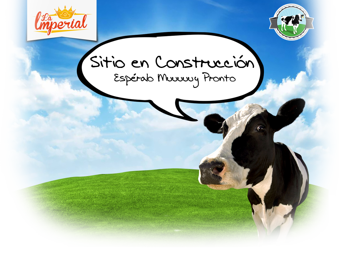 Sitio en Construcción